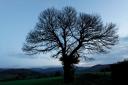 Morvan d'Automne